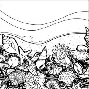 OCEANO Line Art #SeaShellSea-002