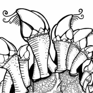 OCEANO Line Art #Oceano-004